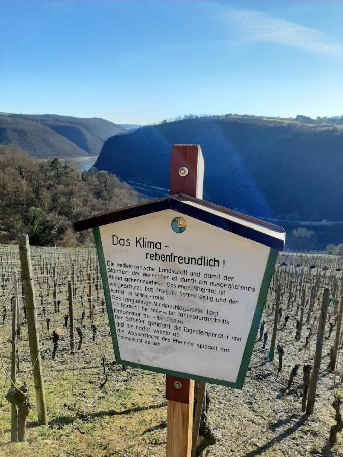 Auszeit Rheingauer Rosengasse Lägenhet Johannisberg Exteriör bild