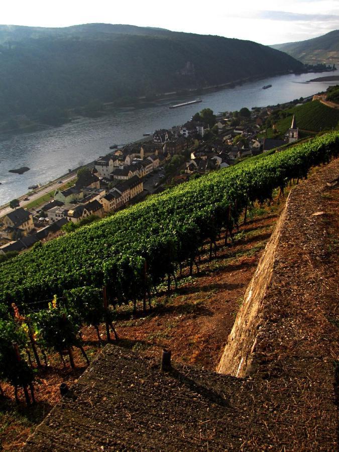 Auszeit Rheingauer Rosengasse Lägenhet Johannisberg Exteriör bild