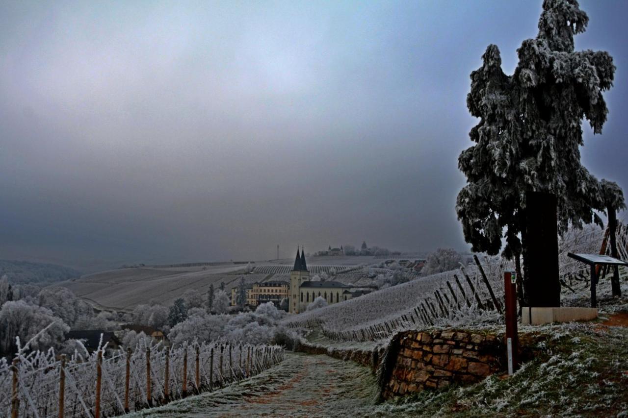 Auszeit Rheingauer Rosengasse Lägenhet Johannisberg Exteriör bild