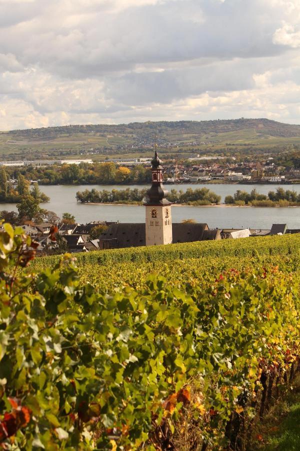 Auszeit Rheingauer Rosengasse Lägenhet Johannisberg Exteriör bild